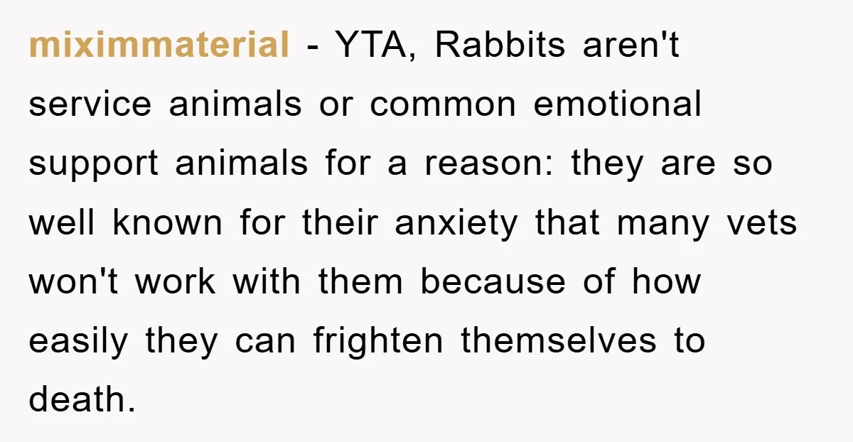 miximmaterial − YTA, Rabbits aren't service animals or common emotional support animals for a reason: they are so well known for their anxiety that many vets won't work with them...