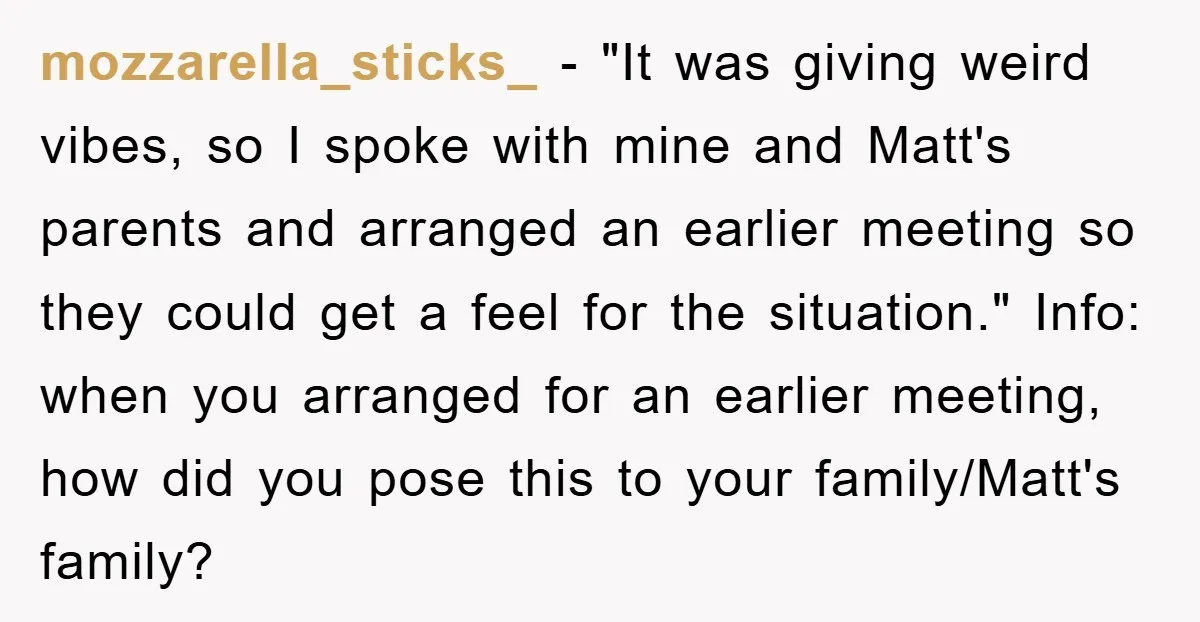 mozzarella_sticks_ − "It was giving weird vibes, so I spoke with mine and Matt's parents and arranged an earlier meeting so they could get a feel for the situation." Info:...