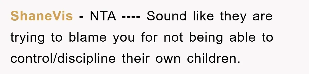ShaneVis − NTA ---- Sound like they are trying to blame you for not being able to control/discipline their own children.