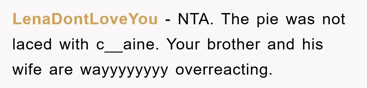 LenaDontLoveYou − NTA. The pie was not laced with c__aine. Your brother and his wife are wayyyyyyyy overreacting.