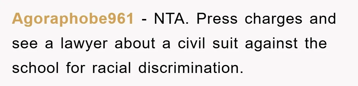Agoraphobe961 − NTA. Press charges and see a lawyer about a civil suit against the school for racial discrimination.