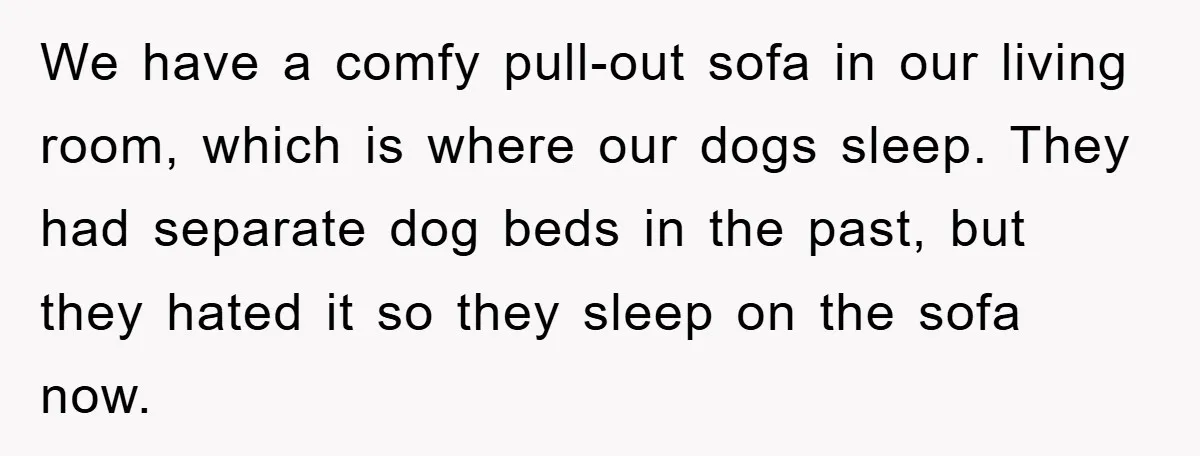 We have a comfy pull-out sofa in our living room, which is where our dogs sleep. They had separate dog beds in the past, but they hated it so they...