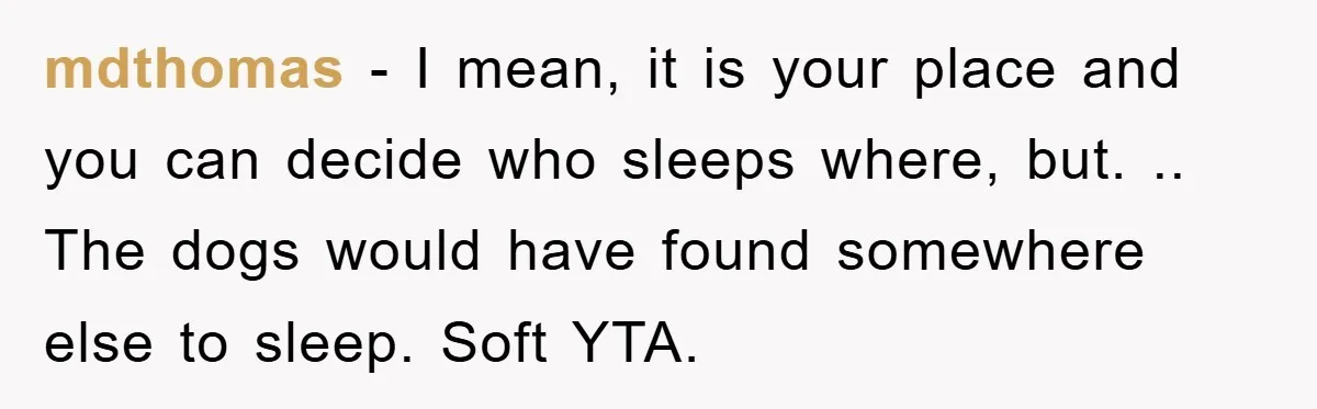 mdthomas − I mean, it is your place and you can decide who sleeps where, but. .. The dogs would have found somewhere else to sleep. Soft YTA.