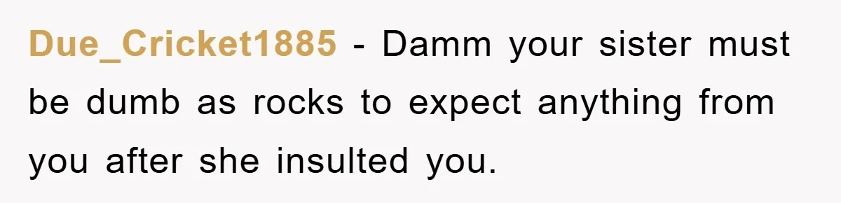 Due_Cricket1885 − Damm your sister must be dumb as rocks to expect anything from you after she insulted you.