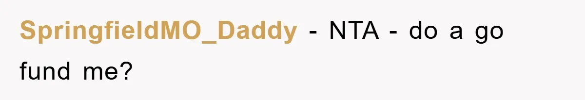 SpringfieldMO_Daddy − NTA - do a go fund me?