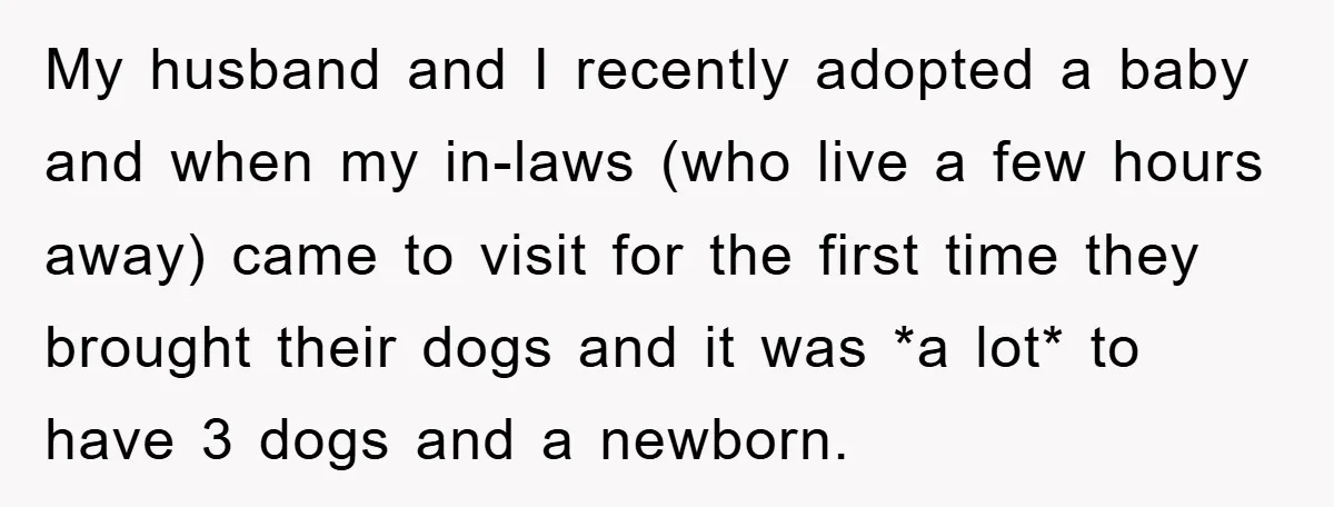 My husband and I recently adopted a baby and when my in-laws (who live a few hours away) came to visit for the first time they brought their dogs and...