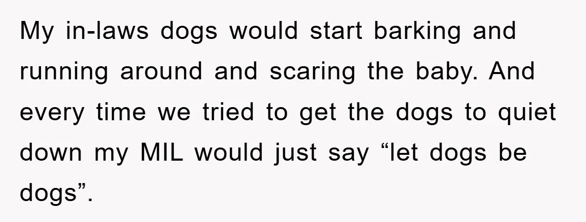 My in-laws dogs would start barking and running around and scaring the baby. And every time we tried to get the dogs to quiet down my MIL would just say...