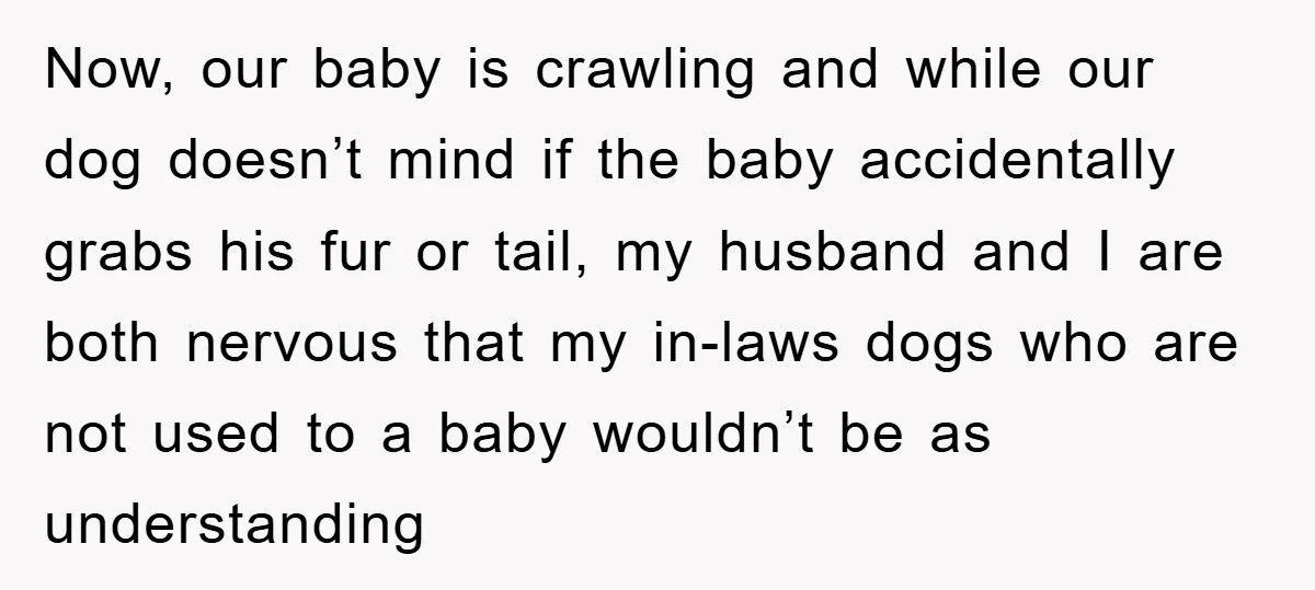 Now, our baby is crawling and while our dog doesn’t mind if the baby accidentally grabs his fur or tail, my husband and I are both nervous that my in-laws...