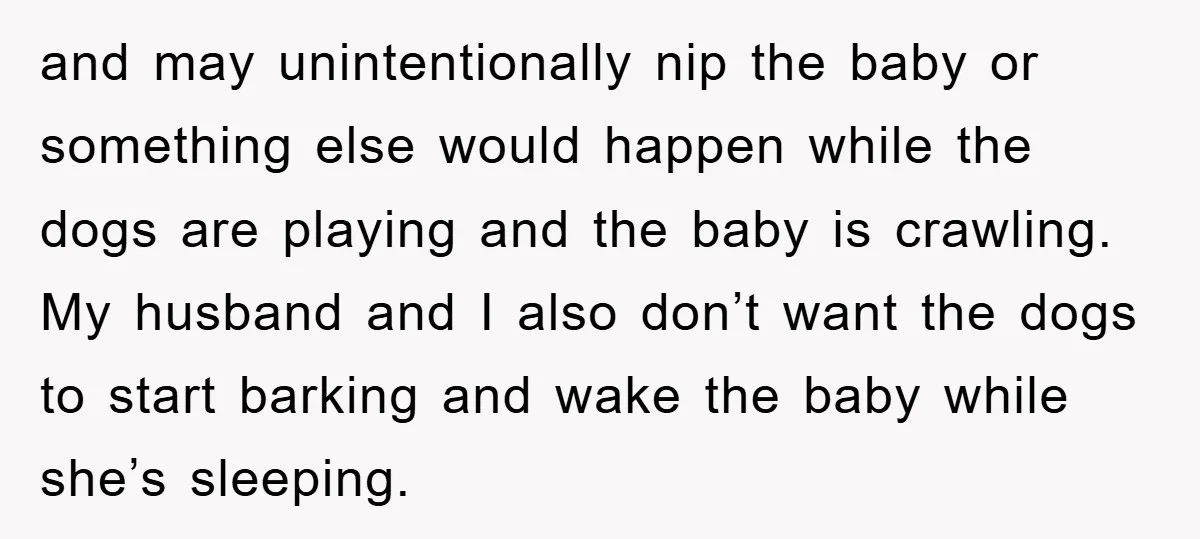and may unintentionally nip the baby or something else would happen while the dogs are playing and the baby is crawling. My husband and I also don’t want the dogs...