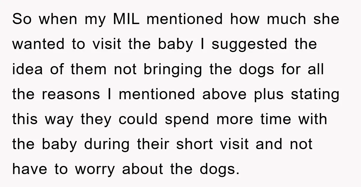 So when my MIL mentioned how much she wanted to visit the baby I suggested the idea of them not bringing the dogs for all the reasons I mentioned above...
