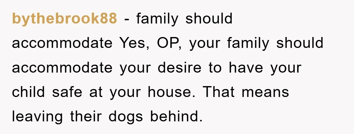 bythebrook88 − family should accommodate Yes, OP, your family should accommodate your desire to have your child safe at your house. That means leaving their dogs behind.