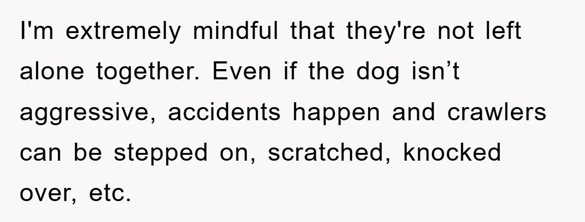 I'm extremely mindful that they're not left alone together. Even if the dog isn’t aggressive, accidents happen and crawlers can be stepped on, scratched, knocked over, etc.
