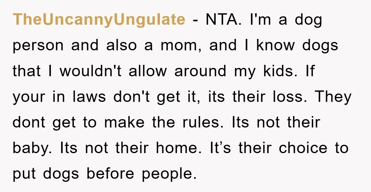 TheUncannyUngulate − NTA. I'm a dog person and also a mom, and I know dogs that I wouldn't allow around my kids. If your in laws don't get it, its...
