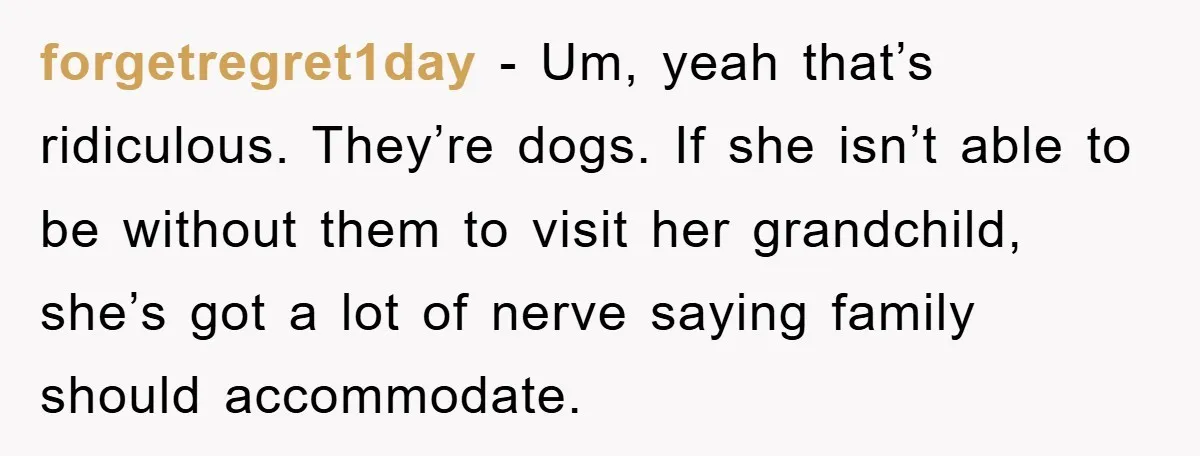 forgetregret1day − Um, yeah that’s ridiculous. They’re dogs. If she isn’t able to be without them to visit her grandchild, she’s got a lot of nerve saying family should accommodate.