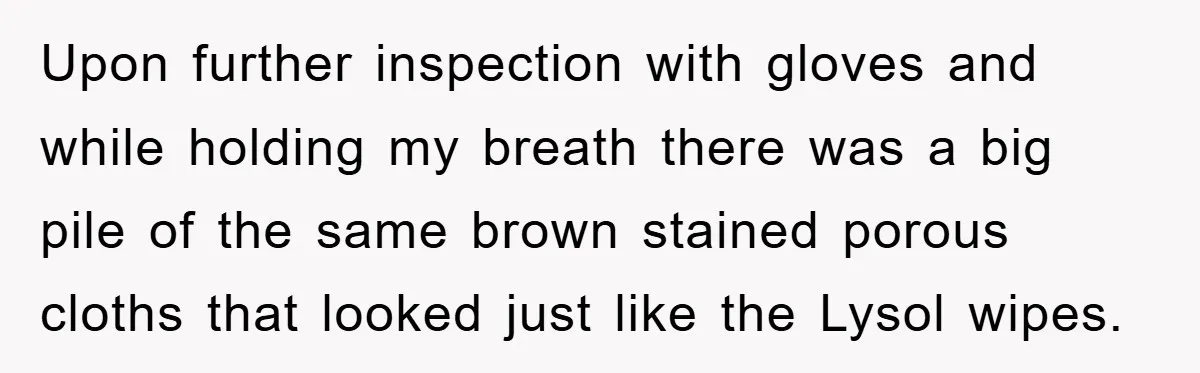 Upon further inspection with gloves and while holding my breath there was a big pile of the same brown stained porous cloths that looked just like the Lysol wipes.