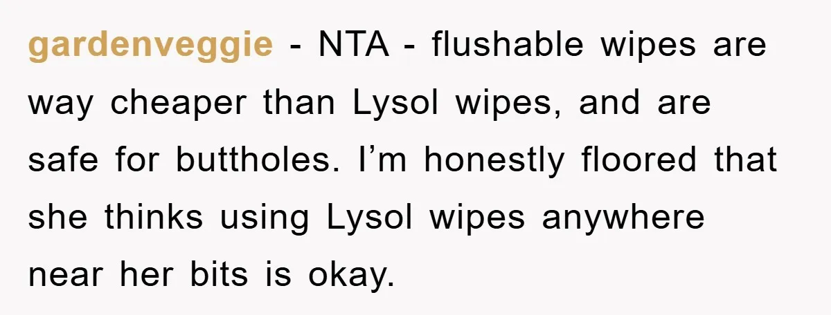 gardenveggie − NTA - flushable wipes are way cheaper than Lysol wipes, and are safe for buttholes. I’m honestly floored that she thinks using Lysol wipes anywhere near her bits...