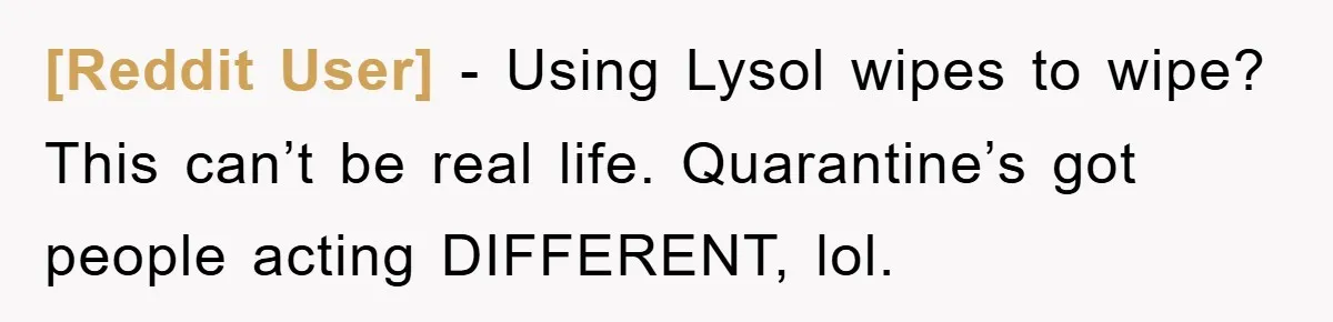 [Reddit User] − Using Lysol wipes to wipe? This can’t be real life. Quarantine’s got people acting DIFFERENT, lol.
