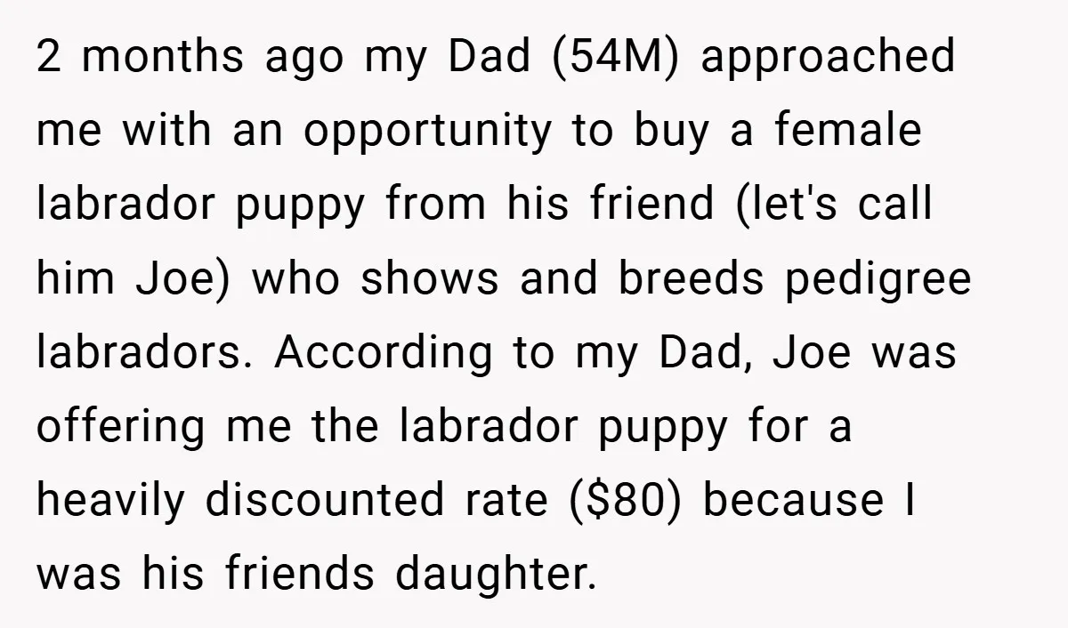 2 months ago my Dad (54M) approached me with an opportunity to buy a female labrador puppy from his friend (let's call him Joe) who shows and breeds pedigree labradors....