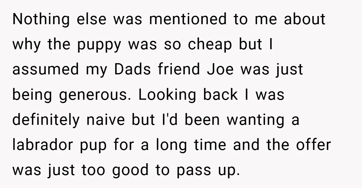 Nothing else was mentioned to me about why the puppy was so cheap but I assumed my Dads friend Joe was just being generous. Looking back I was definitely naive...