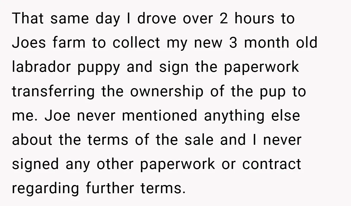 That same day I drove over 2 hours to Joes farm to collect my new 3 month old labrador puppy and sign the paperwork transferring the ownership of the pup...