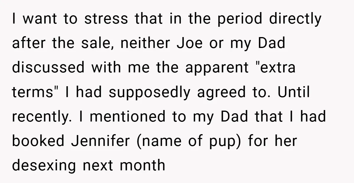 I want to stress that in the period directly after the sale, neither Joe or my Dad discussed with me the apparent "extra terms" I had supposedly agreed to. Until...