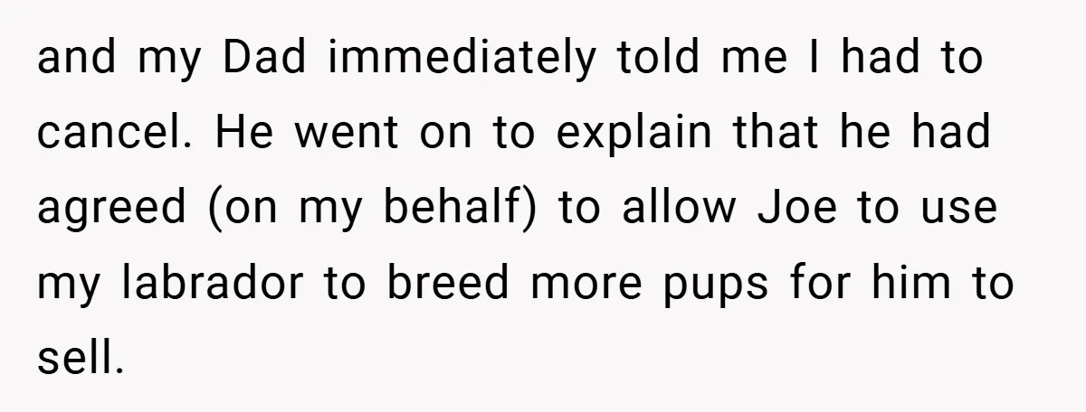 and my Dad immediately told me I had to cancel. He went on to explain that he had agreed (on my behalf) to allow Joe to use my labrador to...