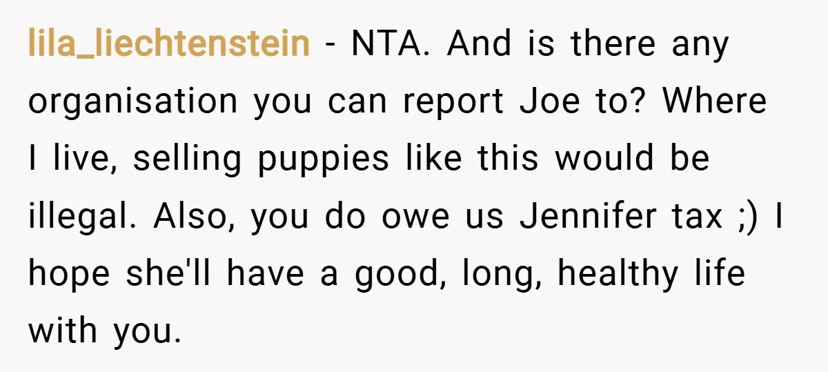 lila_liechtenstein − NTA. And is there any organisation you can report Joe to? Where I live, selling puppies like this would be illegal. Also, you do owe us Jennifer tax...