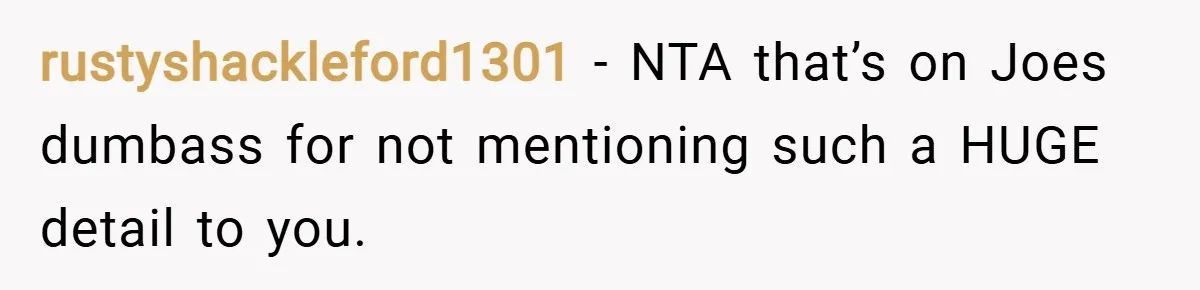 rustyshackleford1301 − NTA that’s on Joes dumbass for not mentioning such a HUGE detail to you.