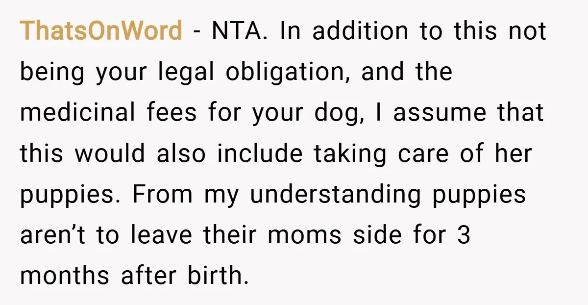 ThatsOnWord − NTA. In addition to this not being your legal obligation, and the medicinal fees for your dog, I assume that this would also include taking care of her...