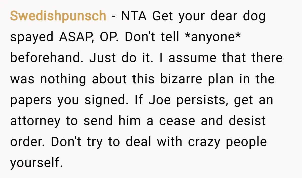 Swedishpunsch − NTA Get your dear dog spayed ASAP, OP. Don't tell *anyone* beforehand. Just do it. I assume that there was nothing about this bizarre plan in the papers...
