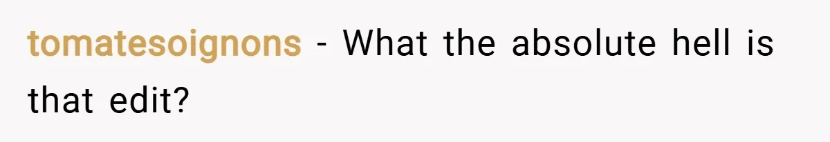 tomatesoignons − What the absolute hell is that edit?