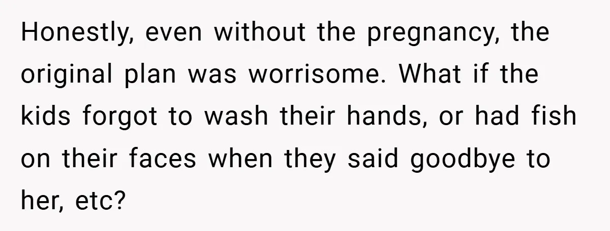 Honestly, even without the pregnancy, the original plan was worrisome. What if the kids forgot to wash their hands, or had fish on their faces when they said goodbye to...