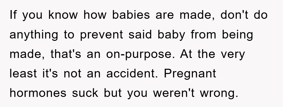 If you know how babies are made, don't do anything to prevent said baby from being made, that's an on-purpose. At the very least it's not an accident. Pregnant hormones...