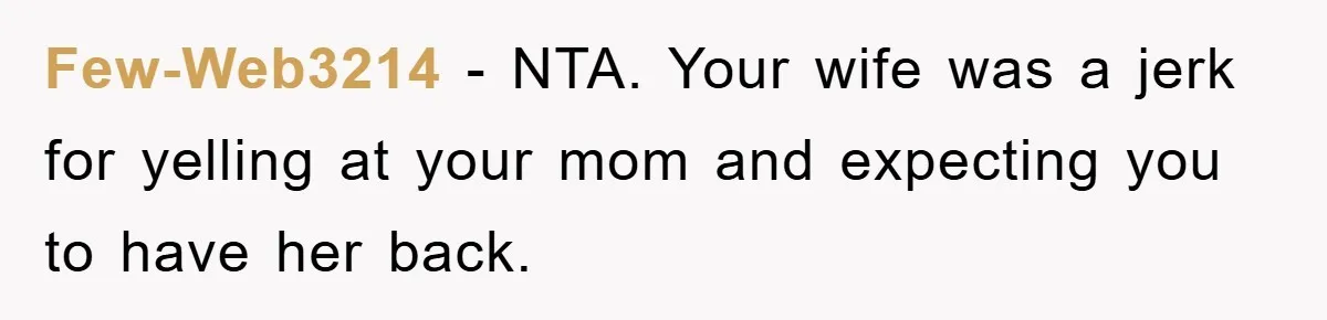 Few-Web3214 - NTA. Your wife was a jerk for yelling at your mom and expecting you to have her back.