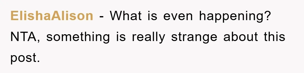 ElishaAlison - What is even happening? NTA, something is really strange about this post.