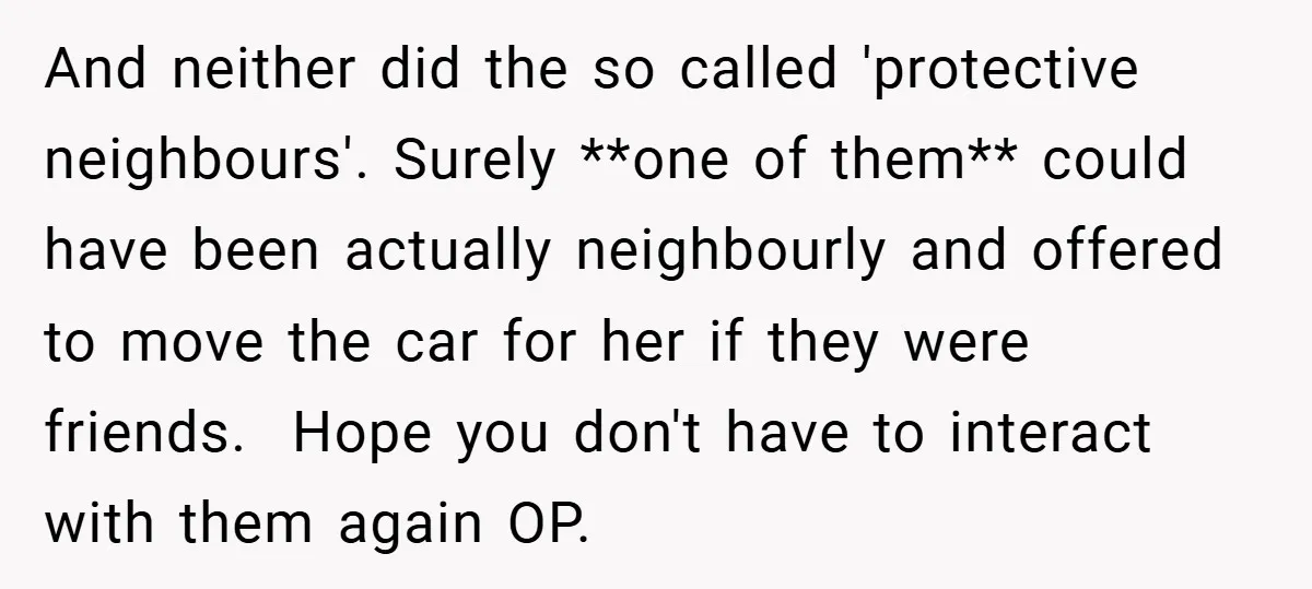 And neither did the so called 'protective neighbours'. Surely **one of them** could have been actually neighbourly and offered to move the car for her if they were friends. ​...
