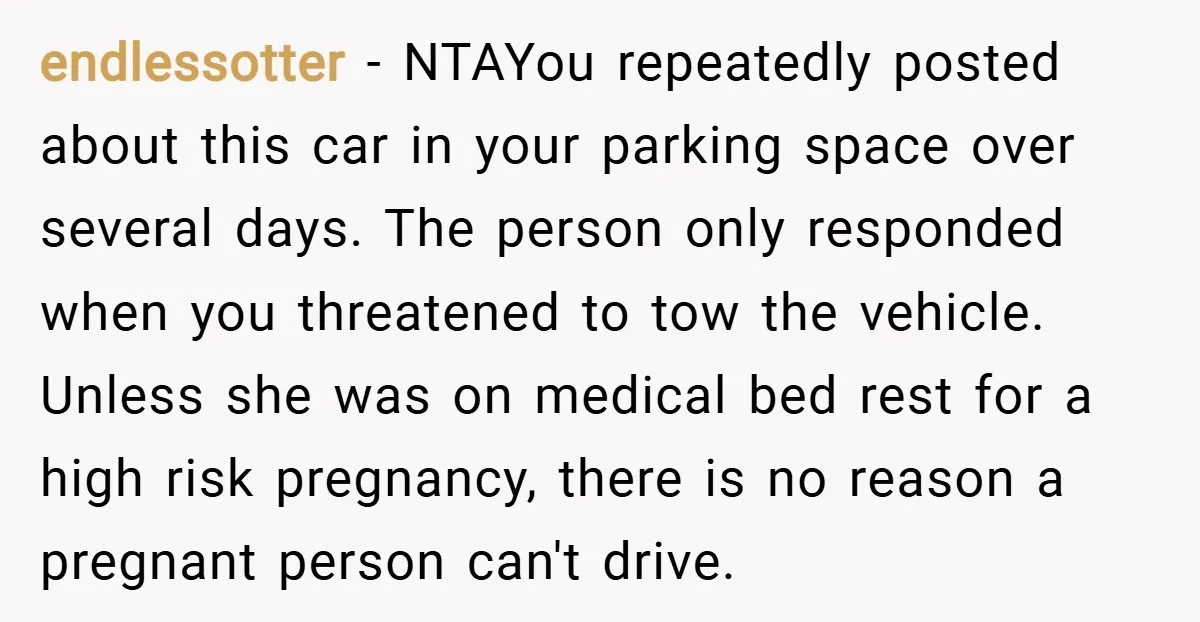 endlessotter − NTAYou repeatedly posted about this car in your parking space over several days. The person only responded when you threatened to tow the vehicle. Unless she was on...