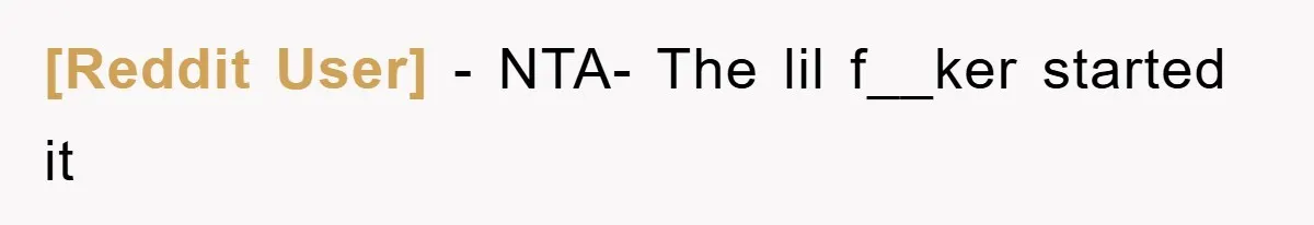 [Reddit User] − NTA- The lil f__ker started it