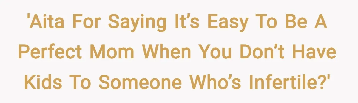 'AITA For Saying It’s Easy To Be A Perfect Mom When You Don’t Have Kids To Someone Who’s Infertile?'