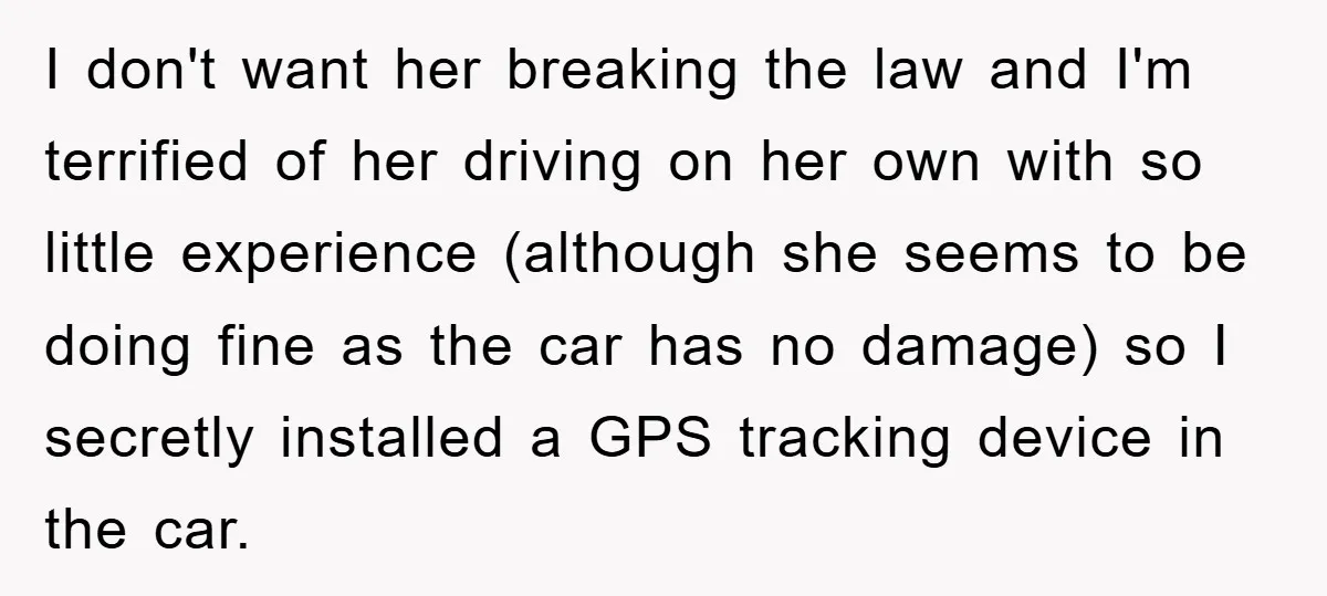 I don't want her breaking the law and I'm terrified of her driving on her own with so little experience (although she seems to be doing fine as the car...