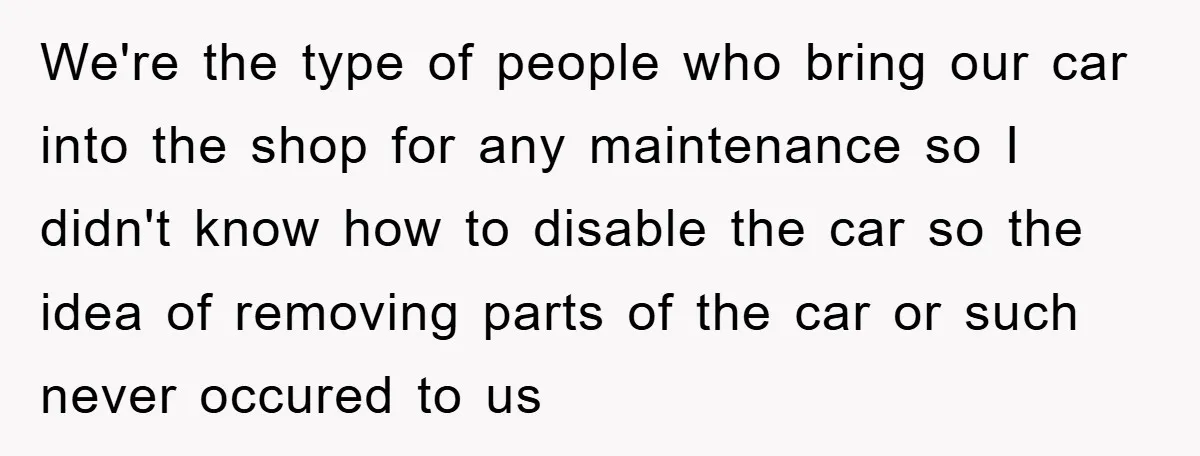 We're the type of people who bring our car into the shop for any maintenance so I didn't know how to disable the car so the idea of removing parts...