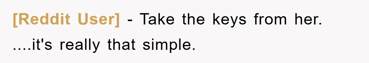 [Reddit User] - Take the keys from her. ....it's really that simple.