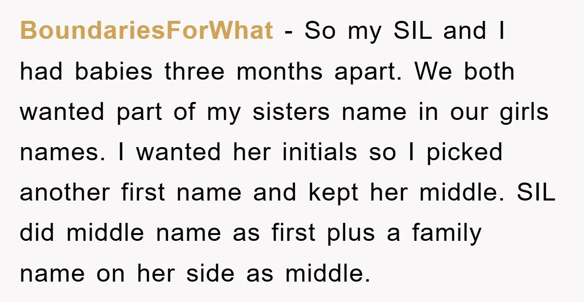 BoundariesForWhat − So my SIL and I had babies three months apart. We both wanted part of my sisters name in our girls names. I wanted her initials so I...