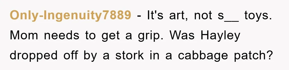 Only-Ingenuity7889 - It's art, not s__ toys. Mom needs to get a grip. Was Hayley dropped off by a stork in a cabbage patch?