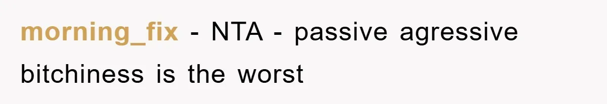 morning_fix − NTA - passive agressive bitchiness is the worst
