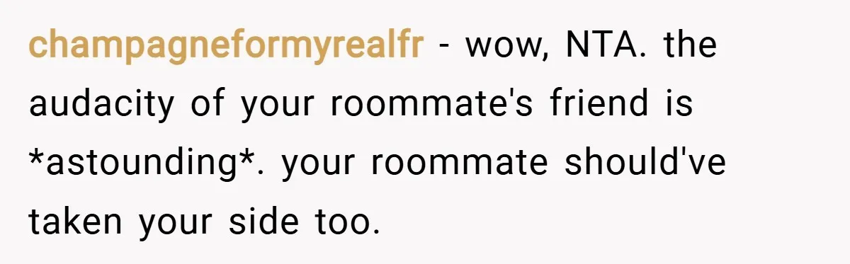 champagneformyrealfr − wow, NTA. the audacity of your roommate's friend is *astounding*. your roommate should've taken your side too.