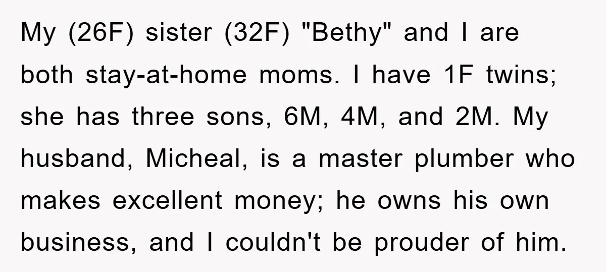 My (26F) sister (32F) "Bethy" and I are both stay-at-home moms. I have 1F twins; she has three sons, 6M, 4M, and 2M. My husband, Micheal, is a master plumber...