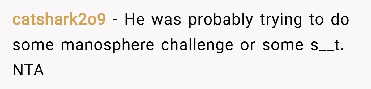 catshark2o9 − He was probably trying to do some manosphere challenge or some s__t. NTA