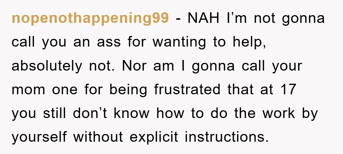 nopenothappening99 − NAH I’m not gonna call you an ass for wanting to help, absolutely not. Nor am I gonna call your mom one for being frustrated that at 17...