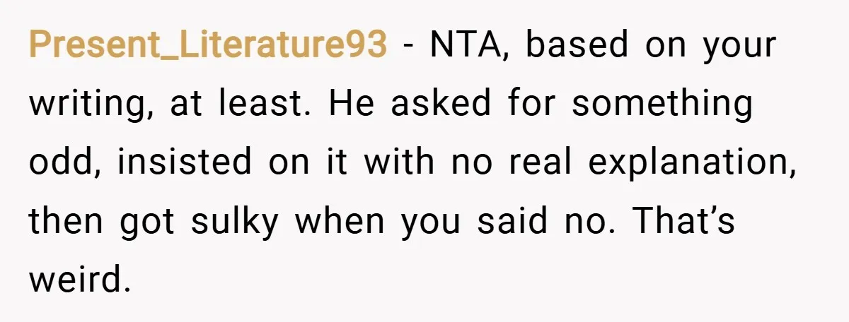Present_Literature93 − NTA, based on your writing, at least. He asked for something odd, insisted on it with no real explanation, then got sulky when you said no. That’s weird.